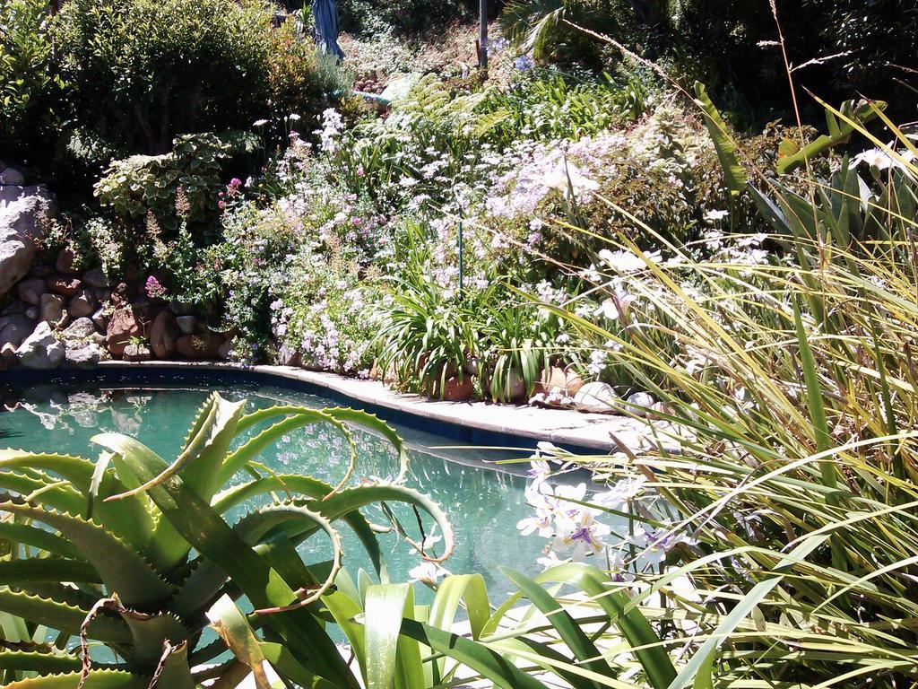 Hotel Hout Bay Hideaway Exteriér fotografie